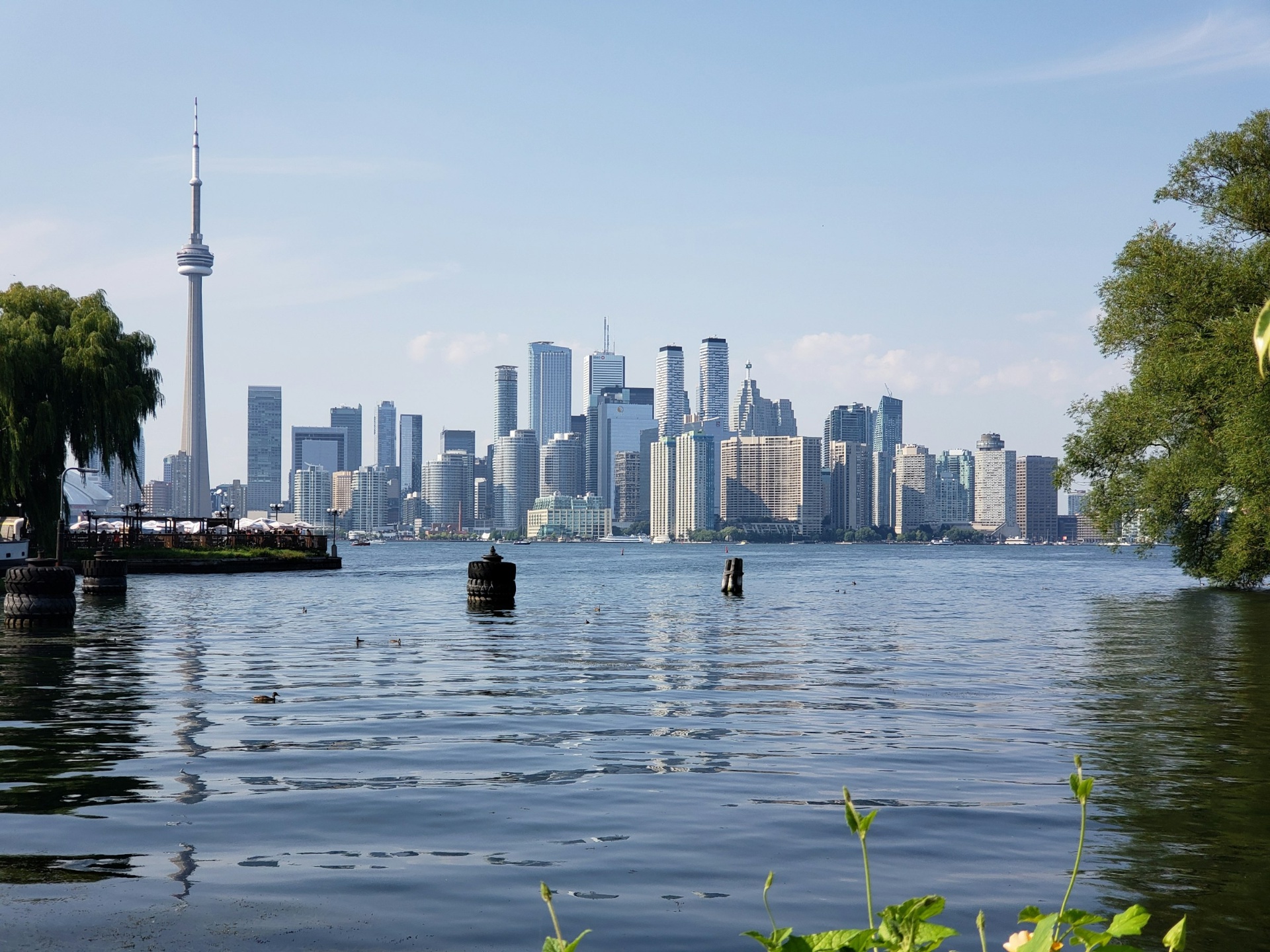 Toronto - Allergy-friendly destination in Canada